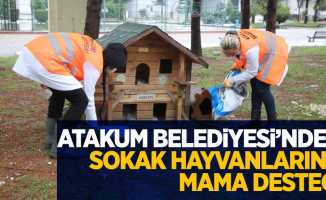 Atakum Belediyesi'den sokak hayvanlarına destek