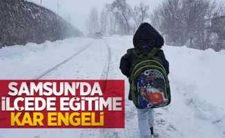 Samsun'da 2 ilçede eğitime kar engeli