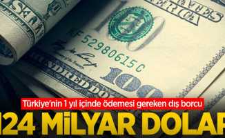 Türkiye'nin 1 yıl içinde ödemesi gereken dış borcu: 124 milyar dolar