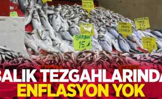 Balık tezgahlarında enflasyon yok 