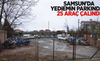 Samsun'da yediemin parkından 25 araç çalındı