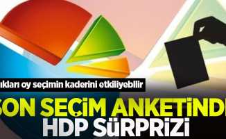 Son seçim anketinde HDP sürprizi! Aldıkları yüzde 13.5'lik oy oranı seçimin kaderini etkileyebilir