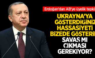 Cumhurbaşkanı Erdoğan'dan Ukrayna'nın AB üyeliği talebiyle ilgili açıklama: Gösterdiğiniz hassasiyeti Türkiye için de gösterin