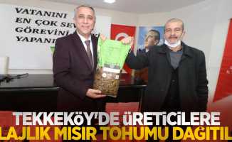 Tekkeköy'de üreticilere silajlık mısır tohumu dağıtıldı