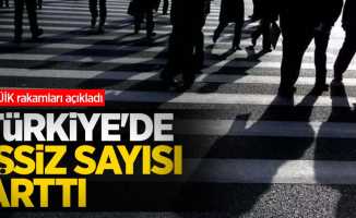 TÜİK rakamları açıkladı: Türkiye'de işsiz sayısı arttı