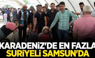 Karadeniz'de en fazla Suriyeli Samsun'da 