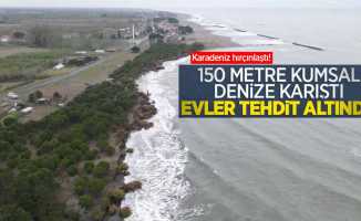 Karadeniz hırçınlaştı! 150 metre kumsal denize karıştı, evler tehdit altında