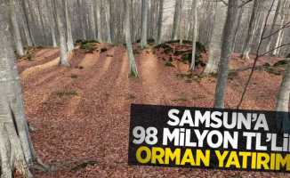 Samsun'a 98 milyon TL'lik orman yatırımı