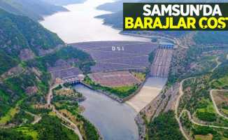 Samsun'da barajlar coştu