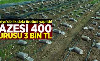 Türkiye'de İlk defa Üretildi! Tazesi 400 Kurusu 3 Bin Lira!