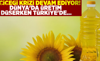 Ayçiçek Yağı Krizi Devam Ediyor! Dünyada Üretim Düşerken Türkiye'de ...