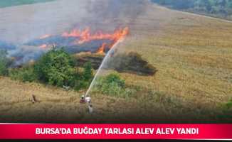 Bursa’da buğday tarlası alev alev yandı