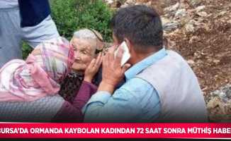 Bursa’da ormanda kaybolan kadından 72 saat sonra müthiş haber