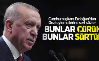 Cumhurbaşkanı Erdoğan'dan Gezi eylemcilerine sert sözler: Bunlar çürük, bunlar sürtük