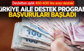 Devletten aylık 450-600 lira arası destek! Türkiye Aile Destek Programı başvuruları başladı
