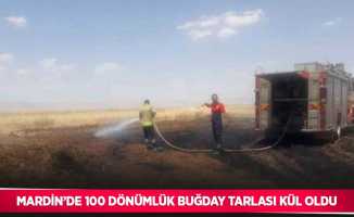 Mardin’de 100 dönümlük buğday tarlası kül oldu
