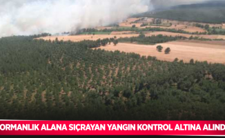 Ormanlık alana sıçrayan yangın kontrol altına alındı