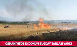 Osmaniye’de 10 dönüm buğday tarlası yandı