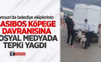 Samsun'da belediye ekiplerinin başıboş köpeğe davranışına sosyal medyada tepki yağdı