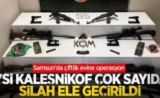 Samsun'da çiftlik evine operasyon! 2'si kaleşnikof çok sayıda silah ele geçirildi