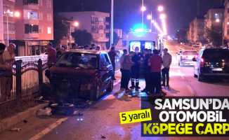 Samsun'da otomobil köpeğe çarptı: 5 yaralı