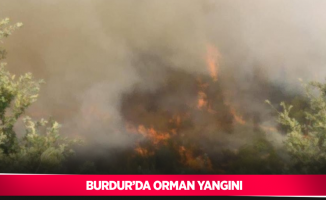 Burdur’da orman yangını