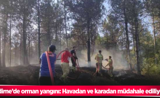 Edirne’de orman yangını: Havadan ve karadan müdahale ediliyor
