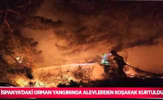 İspanya’daki orman yangınında alevlerden koşarak kurtuldu