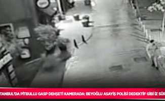 İstanbul’da pitbullu gasp dehşeti kamerada: Beyoğlu Asayiş polisi dedektif gibi iz sürdü