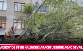 Kadıköy’de seyir halindeki aracın üzerine ağaç devrildi