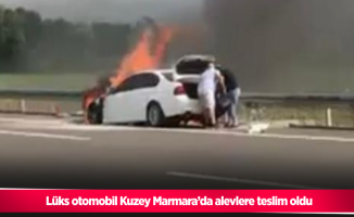 Lüks otomobil Kuzey Marmara’da alevlere teslim oldu