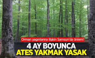 Orman yagınlarına ilişkin Samsun'da önlem! 4 ay boyunca ateş yakmak yasak