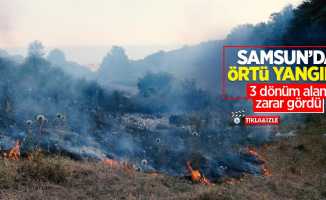 Samsun'da örtü yangını: 3 dönüm alan zarar gördü