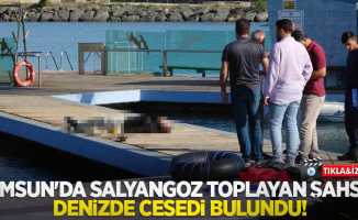 Samsun'da salyangoz toplayan şahsın denizde cesedi bulundu!