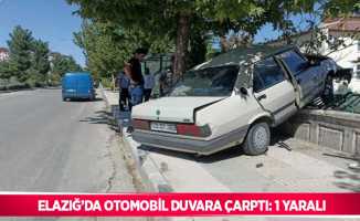 Elazığ’da otomobil duvara çarptı: 1 yaralı