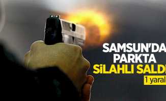 Samsun'da parkta silahlı saldırı: 1 yaralı