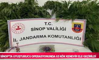 Sinop’ta uyuşturucu operasyonunda 63 kök kenevir ele geçirildi