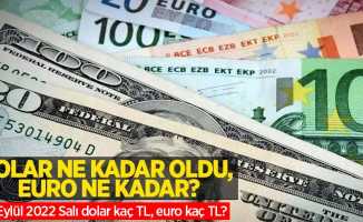 12 Eylül Pazartesi dolar ne kadar oldu, euro ne kadar? 12 Eylül 2022 Salı dolar kaç TL, euro kaç TL?