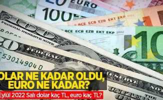 13 Eylül Salı dolar ne kadar oldu, euro ne kadar? 13 Eylül 2022 Salı dolar kaç TL, euro kaç TL?