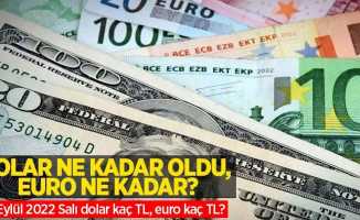 15 Eylül Perşembe dolar ne kadar oldu, euro ne kadar? 15 Eylül 2022 Perşembe dolar kaç TL, euro kaç TL?