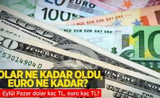 19 Eylül Pazartesi dolar ne kadar oldu, euro ne kadar? 18 Eylül 2022 Pazar dolar kaç TL, euro kaç TL?