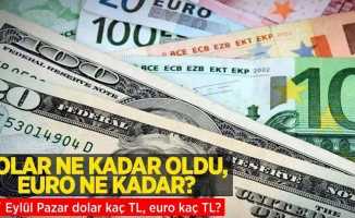 27 Eylül Salı dolar ne kadar oldu, euro ne kadar? 27 Eylül 2022 Salı dolar kaç TL, euro kaç TL?