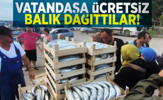 Balıkçılar Kasa Kasa Balıkla Döndü! Vatandaşa Ücretsiz Balık Dağıttılar!