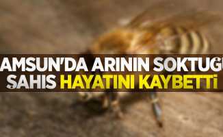 Samsun'da arının soktuğu şahıs hayatını kaybetti
