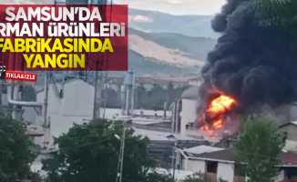 Samsun'da orman ürünleri fabrikasında yangın