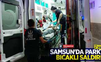 Samsun'da parkta bıçaklı saldırı: 2 yaralı