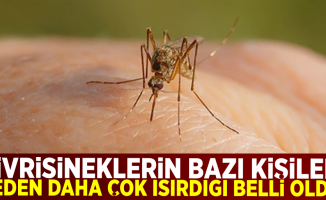 Sivrisineklerin Bazı Kişileri Neden Daha Fazla Isırdığı Belli Oldu!