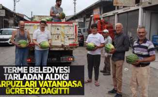 Terme Belediyesi tarladan aldığı karpuzları vatandaşa ücretsiz dağıttı