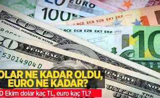 10 Ekim Pazartesi dolar ne kadar oldu, euro ne kadar? 10 Ekim 2022 Pazartesi dolar kaç TL, euro kaç TL?