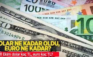 11 Ekim Salı dolar ne kadar oldu, euro ne kadar? 11 Ekim 2022 Salı dolar kaç TL, euro kaç TL?